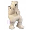 Ours costume de mascotte