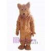 Ours costume de mascotte