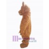 Ours costume de mascotte