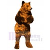 Ours costume de mascotte