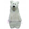 Ours costume de mascotte