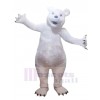 Ours costume de mascotte