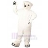 Ours costume de mascotte