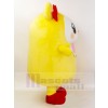 Ours costume de mascotte