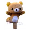 Ours costume de mascotte