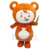 Ours costume de mascotte