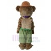 Ours costume de mascotte