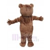 Ours costume de mascotte
