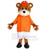 Ours costume de mascotte