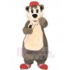 Ours costume de mascotte
