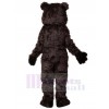 Ours costume de mascotte