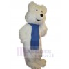 Ours costume de mascotte
