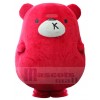 Ours costume de mascotte