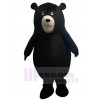 Ours costume de mascotte