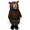 Ours costume de mascotte