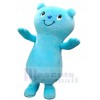 Ours costume de mascotte