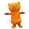 Ours costume de mascotte