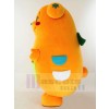 Ours costume de mascotte