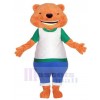 Ours costume de mascotte