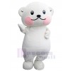 Ours costume de mascotte