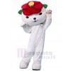 Ours costume de mascotte