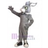 Lapin de Pâques costume de mascotte