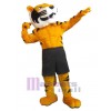 Tigre costume de mascotte