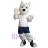 Chien costume de mascotte