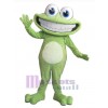 Grenouille costume de mascotte