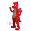 Dragon costume de mascotte