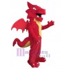 Dragon costume de mascotte