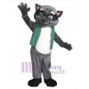 Raton laveur costume de mascotte