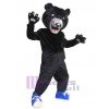 Ours costume de mascotte