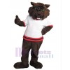 Chat d'ours costume de mascotte
