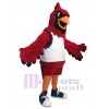 Cardinal Oiseau costume de mascotte