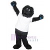 Chien costume de mascotte