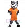 Chien costume de mascotte
