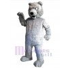 Ours costume de mascotte