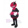 Abeille costume de mascotte