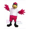 Cardinal Oiseau costume de mascotte