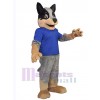 Chien costume de mascotte