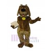 Chien costume de mascotte