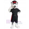 Chien costume de mascotte