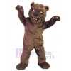 Ours costume de mascotte