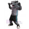 Ours costume de mascotte