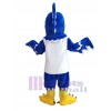 Faucon costume de mascotte
