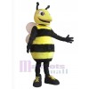 Abeille costume de mascotte