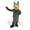 Coyote costume de mascotte