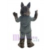 Coyote costume de mascotte