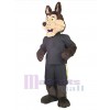 Coyote costume de mascotte